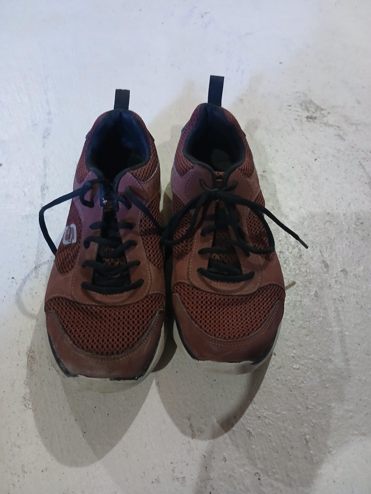Skechers Men's Brown Sneakers