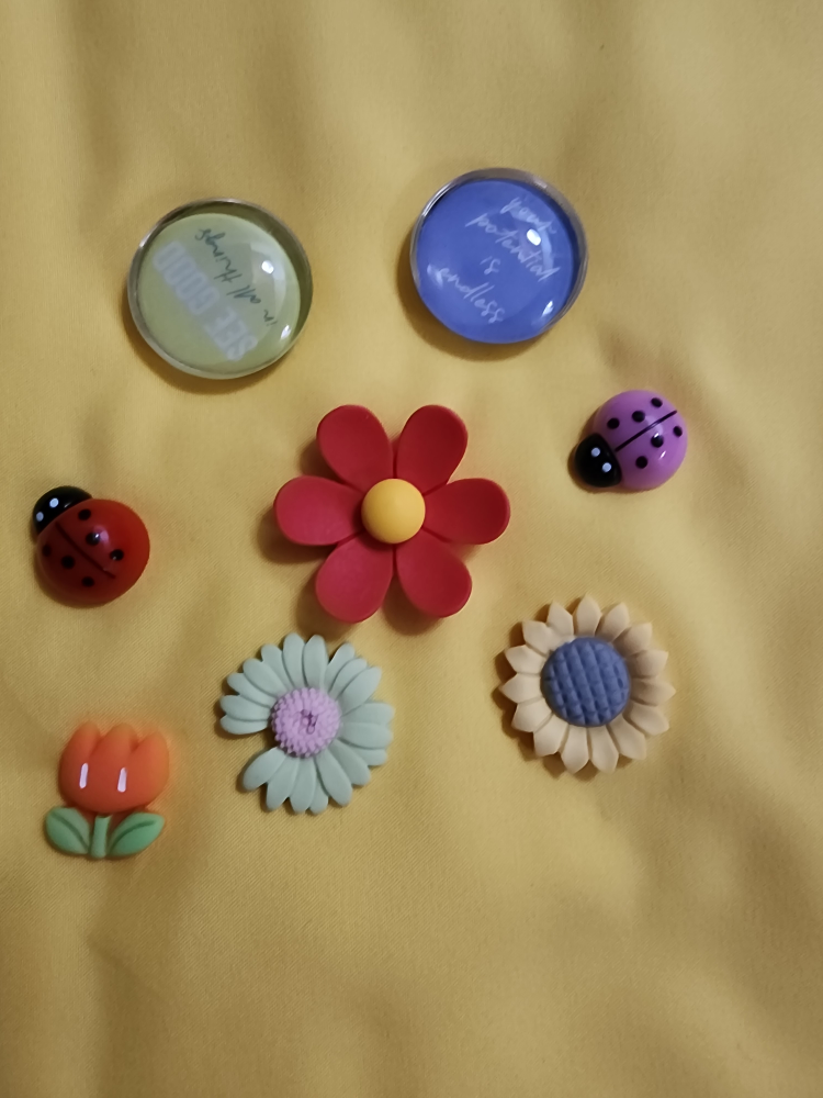 Decorative Fridge Magnets