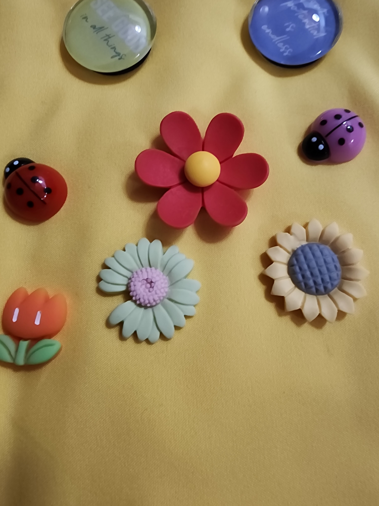Decorative Fridge Magnets - photo 4