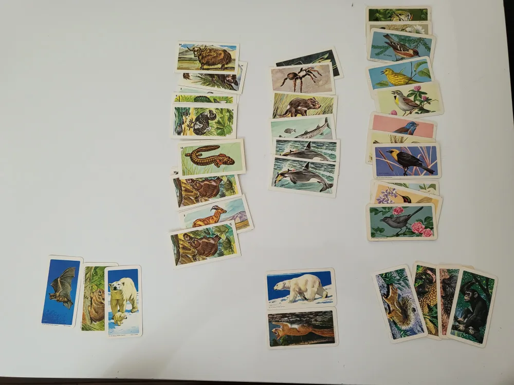 Vintage Brooke Bond Tea Cards image indicator(2)