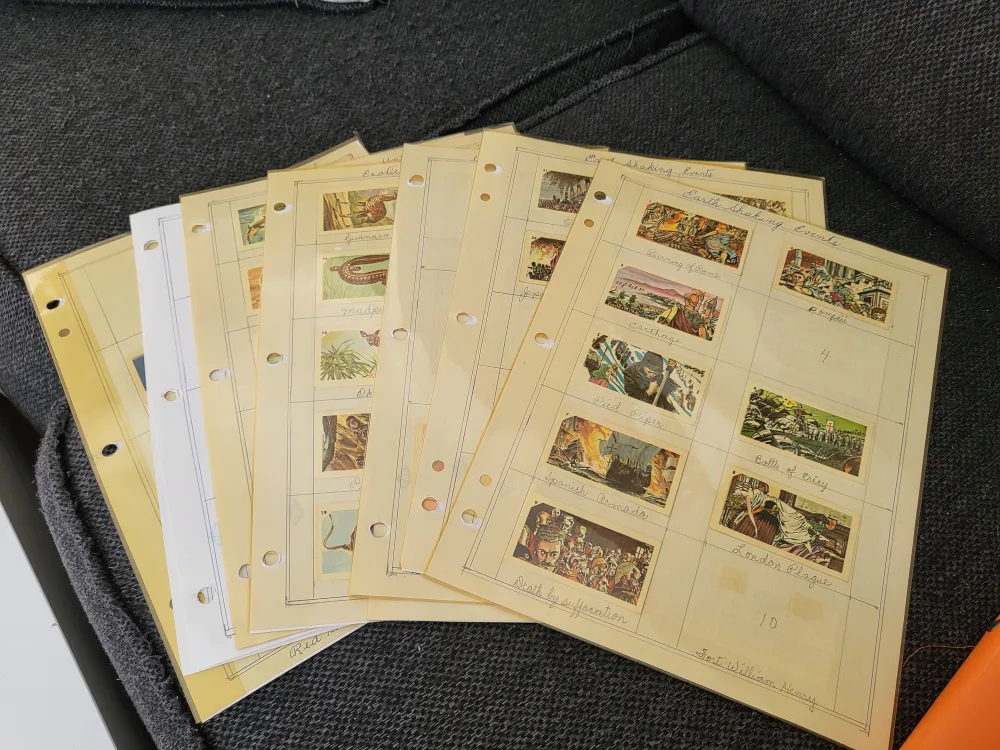 Vintage Brooke Bond Tea Cards image indicator(5)