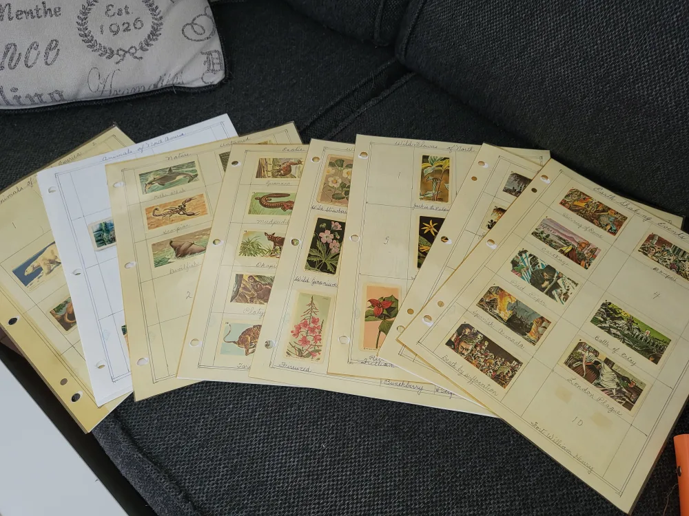 Vintage Brooke Bond Tea Cards image indicator(6)