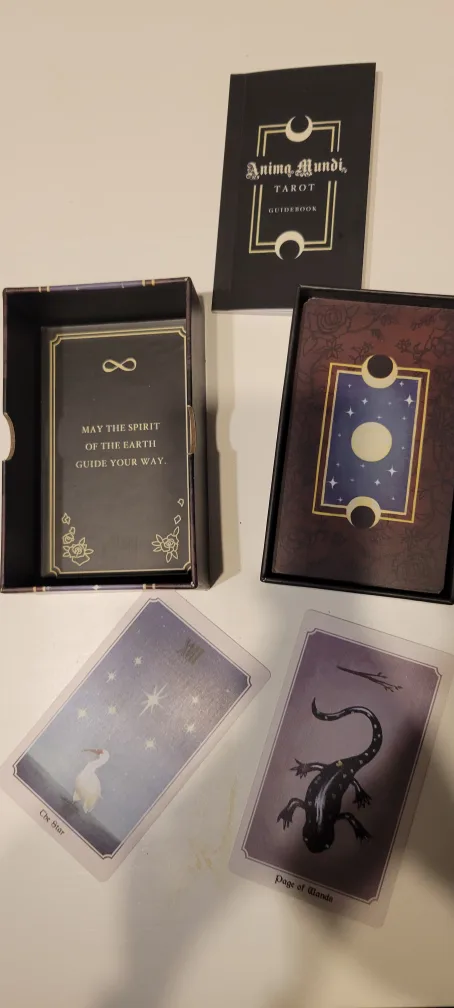 Anima Mundi Tarot Deck & Guidebook image indicator(3)
