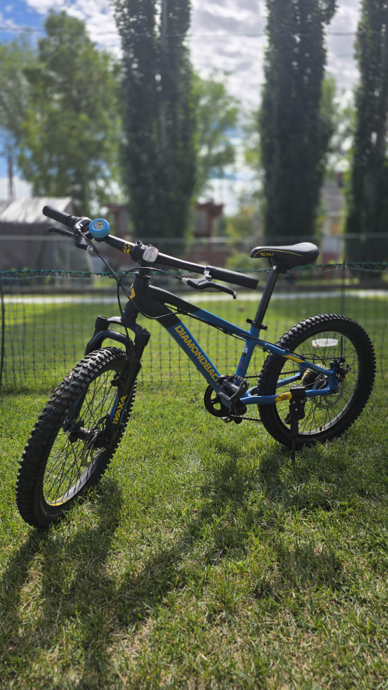 Diamondback Maya 20" Kids Bike
