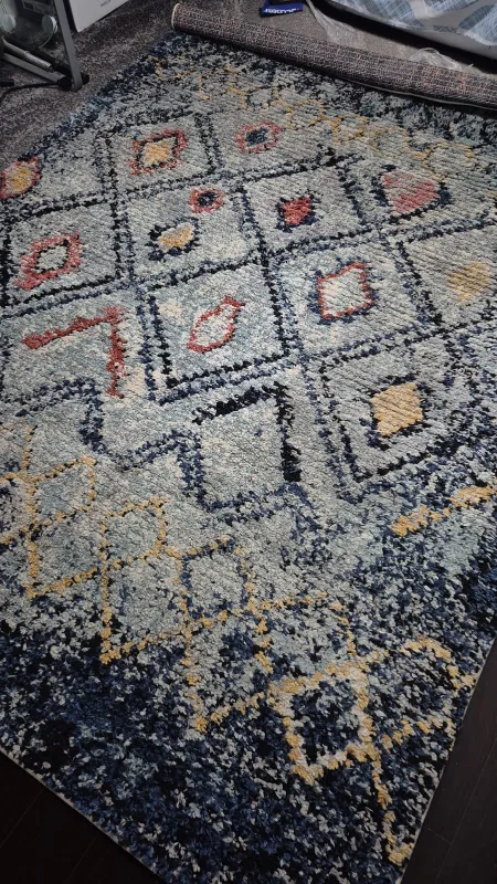 ECARPETGALLERY Shag Collection Rug thumbnail