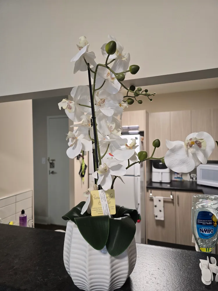 White Artificial Orchid Plant, 22" Tall image indicator(5)