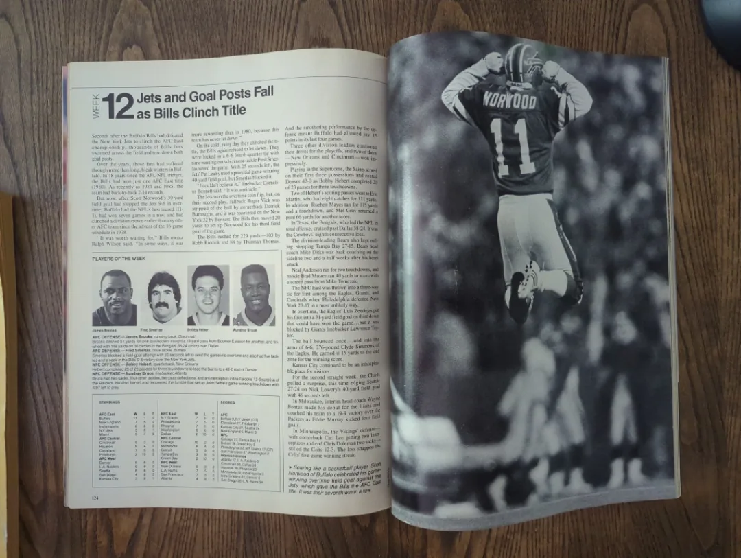 1989 NFL ProLog  Football Magazine image indicator(6)