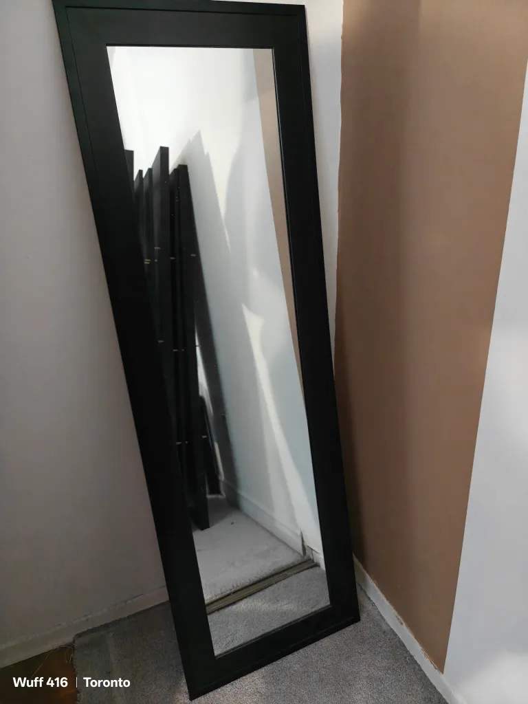 Body Mirror image indicator(2)