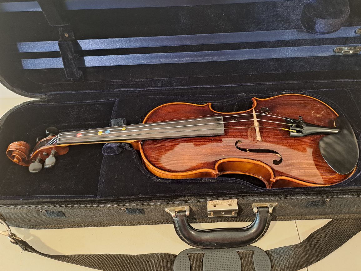Alegra violin - photo 2