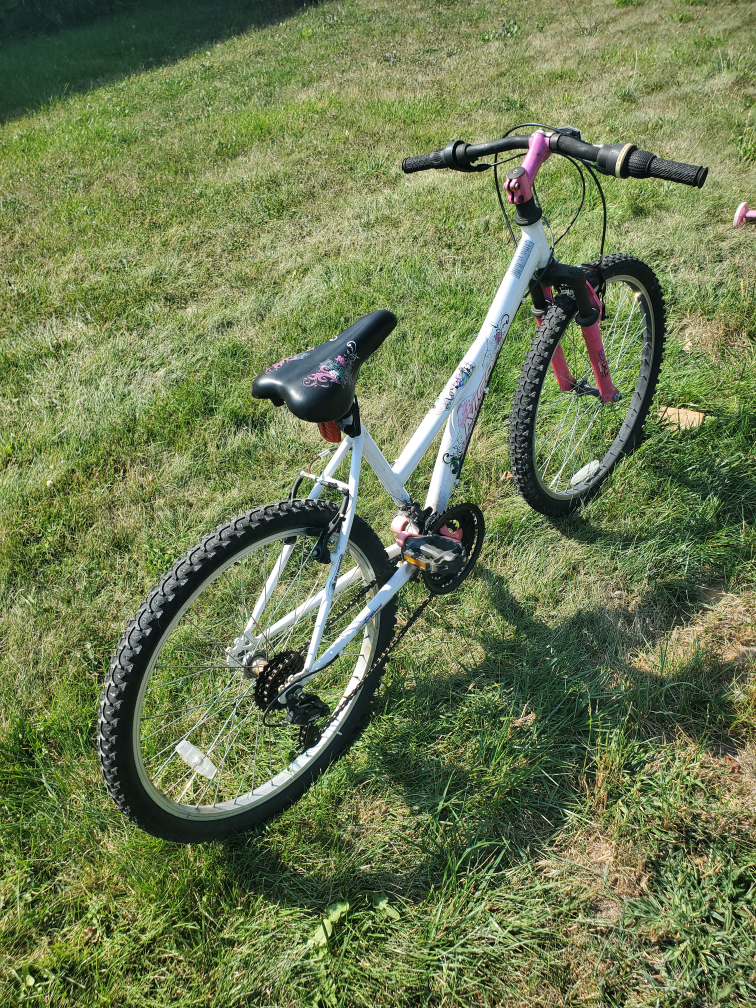 21 speed bike - photo 3