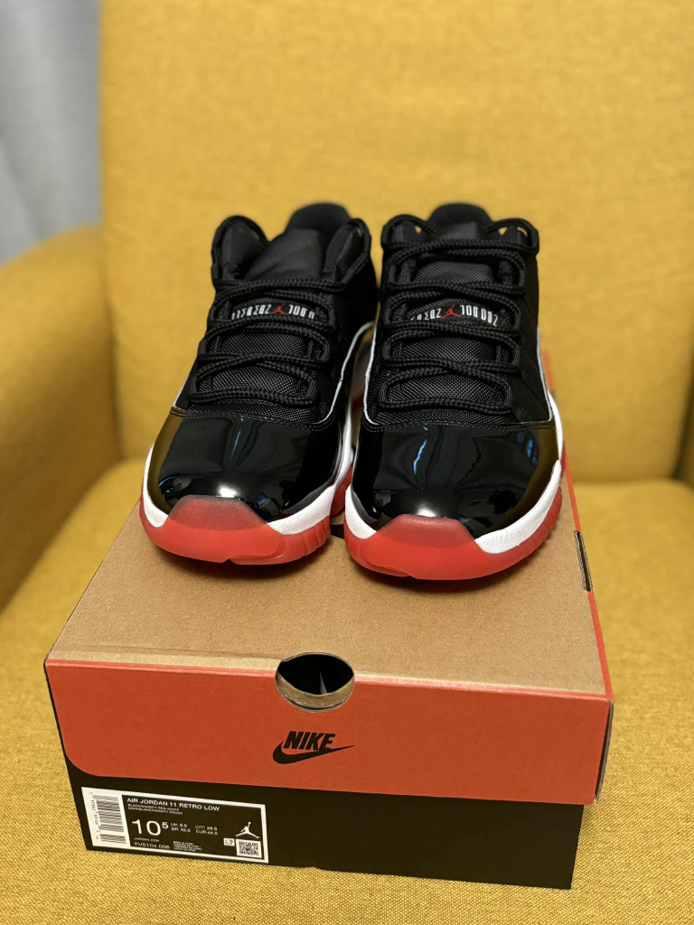 JORDAN 11 LOW