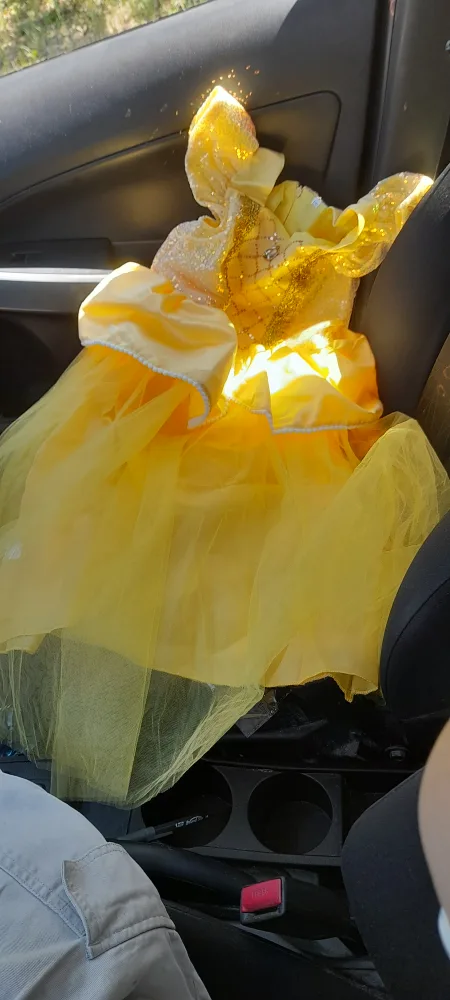 Yellow Princess Dress Costume - Size 120 thumbnail
