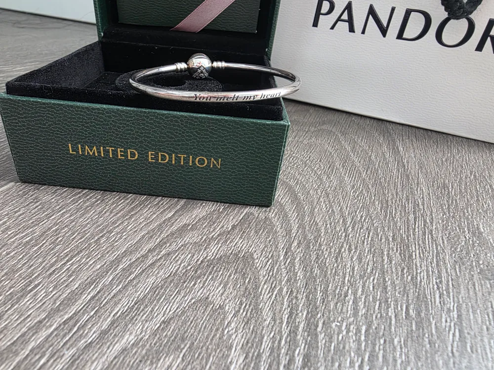 Pandora Bangle Bracelet Limited Edition image indicator(2)