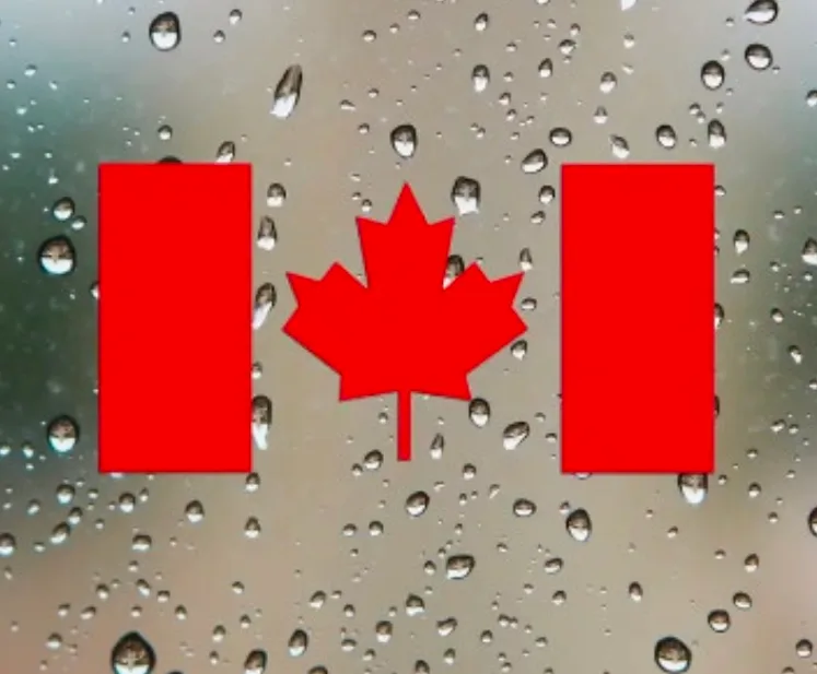 2pcs Stickers Canadian Flag