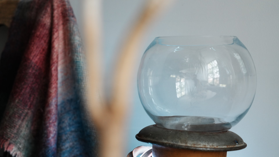Fish Bowl (Glass) - photo 3