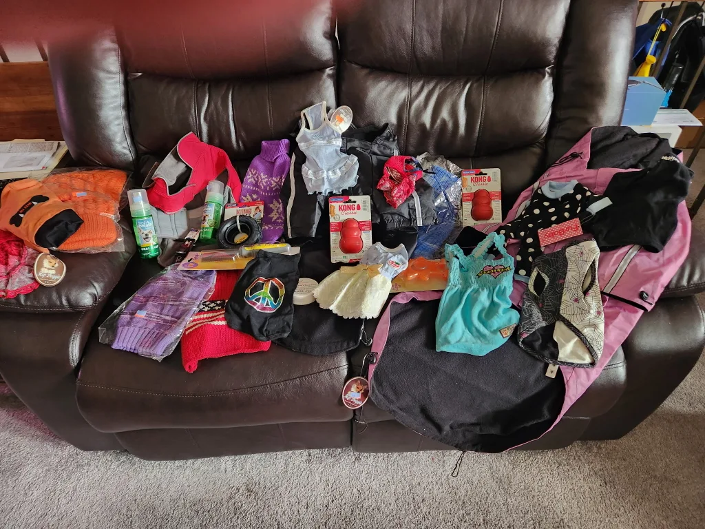 Dog Items Bundle: Clothes, Grooming, Toys image indicator(4)