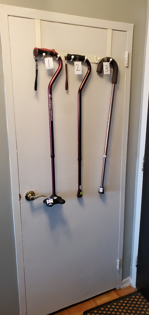 Walking Sticks and White Cane