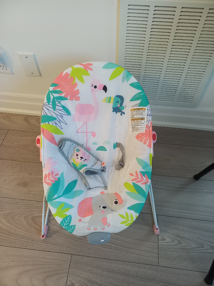 Bright Starts Flamingo Vibes Vibrating Bouncer