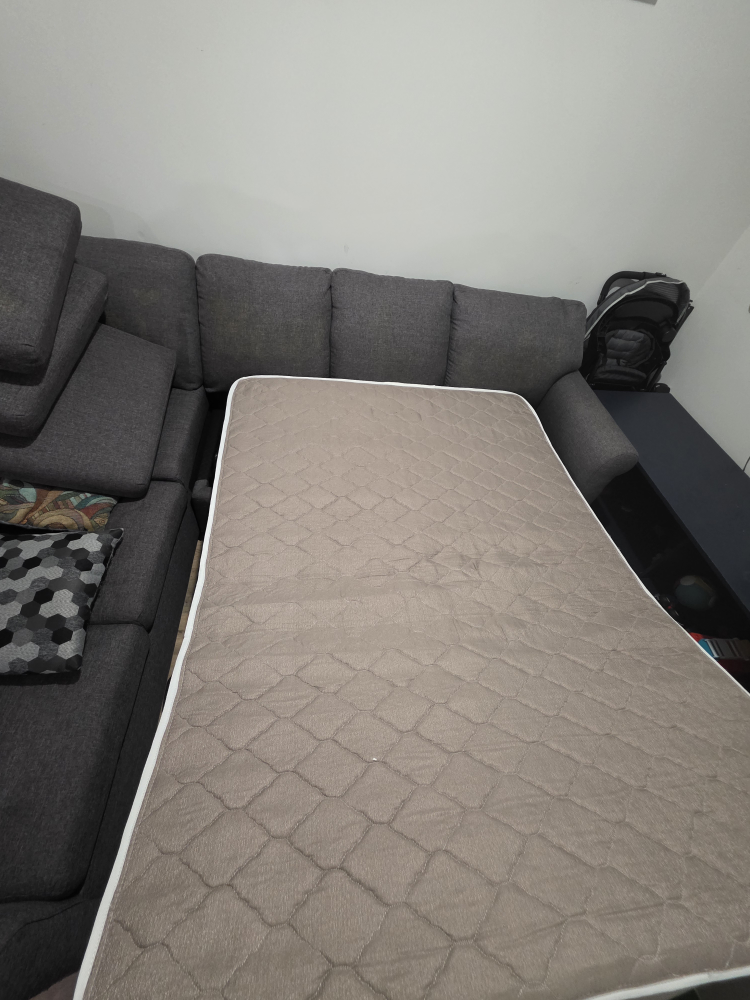 Grey Sectional Sofa with Pull-Out Bed - photo 4