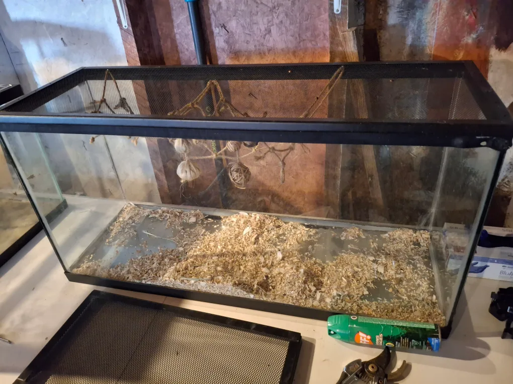 Aquarium/ Terrarium with lid 36" thumbnail