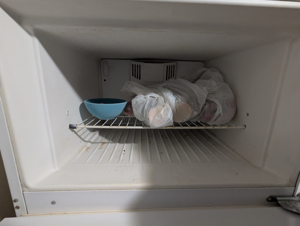 White-Westinghouse Refrigerator - Moving sale - photo 4