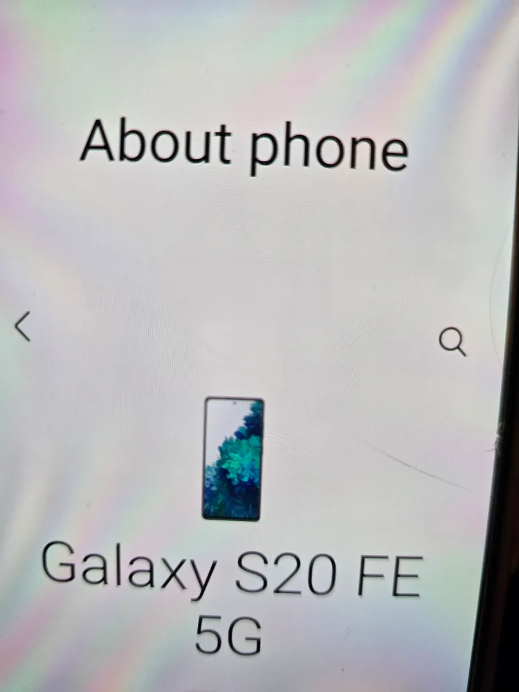 Samsung Galaxy S20 FE 5G image indicator(2)