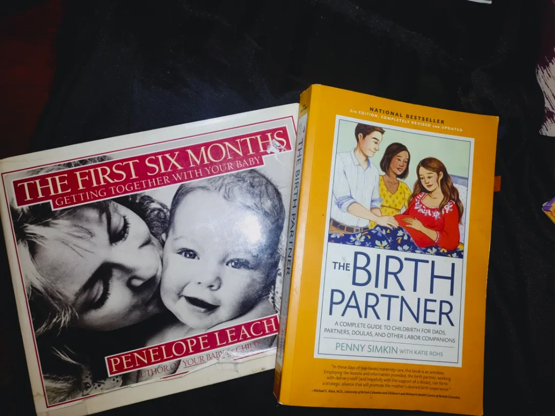 The First Six Months & The Birth Partner Books thumbnail