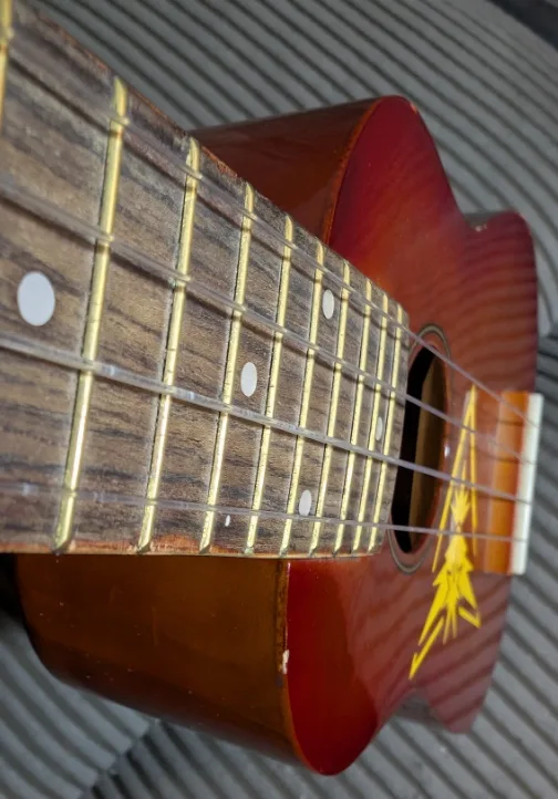 Amazing Denver Ukulele with Sunny Ukulele Case 🌺🏝️🎶 image indicator(6)