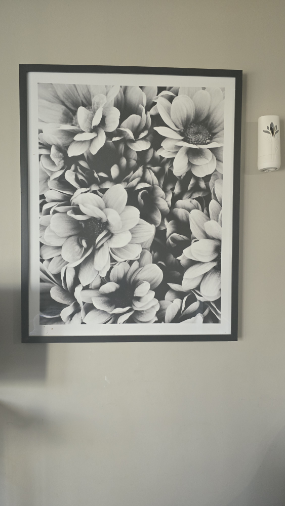 Floral Print Wall Art - Black & White