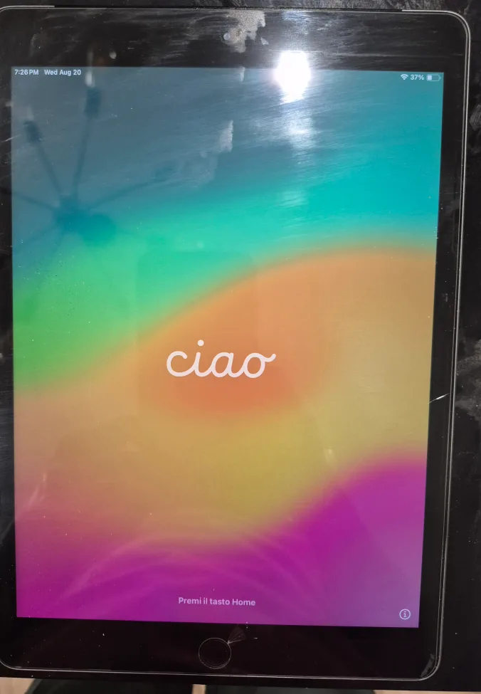 Apple iPad image indicator(2)