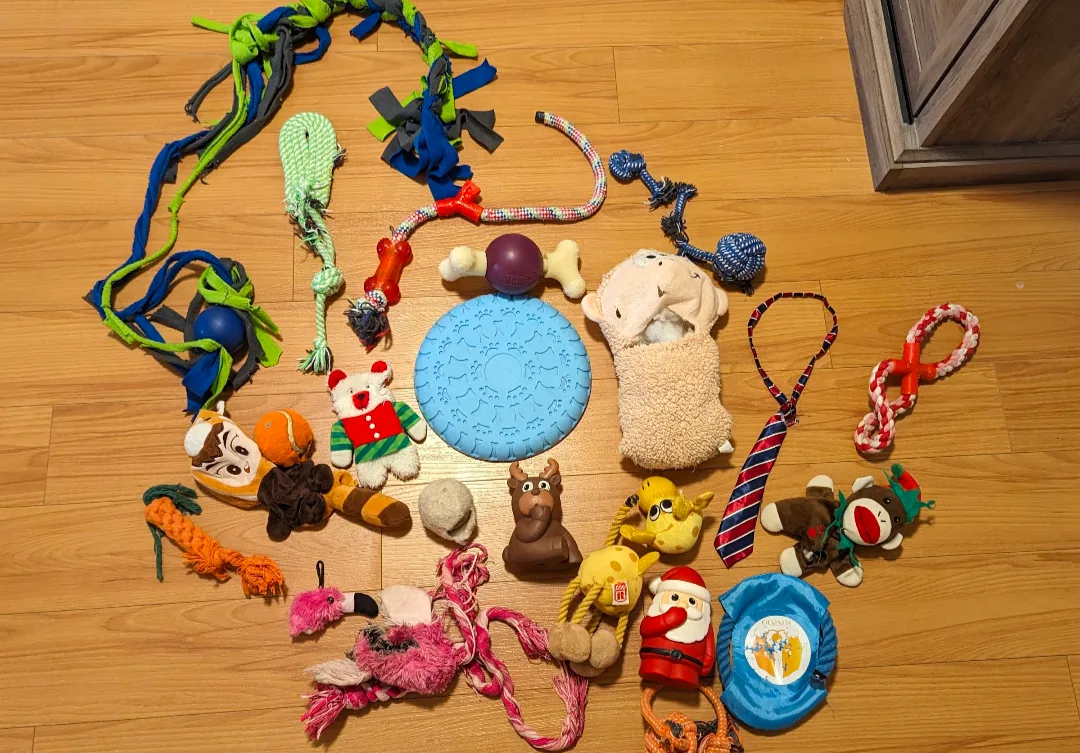 Mixed Lot of Dog Toys thumbnail