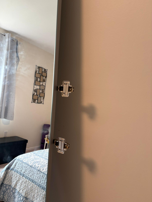IKEA Äheim Mirror Door 50x229 cm - photo 4