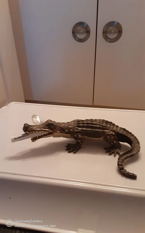 Vintage Crocodile Trinket Box image indicator(4)