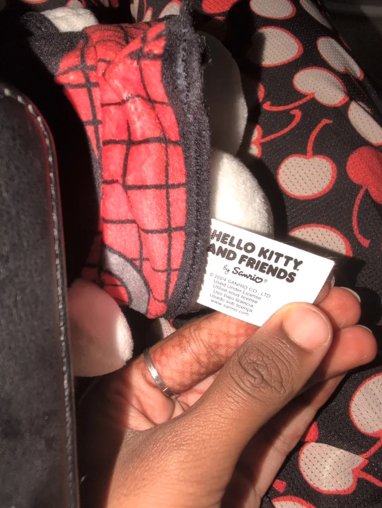 Hello Kitty Plush Toy image indicator(4)