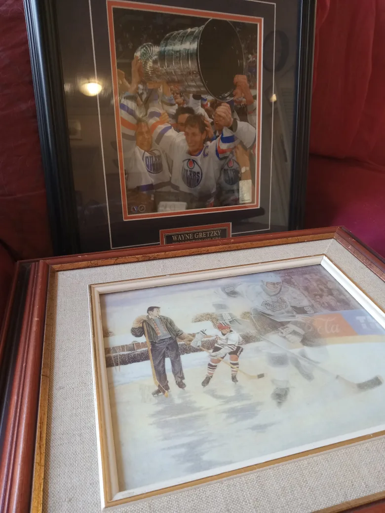 Wayne Gretzky Edmonton Oilers Framed Pictures image indicator(9)