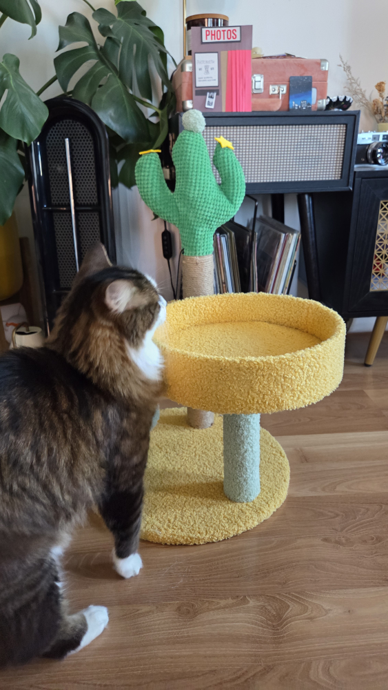 small cat tower - photo 3