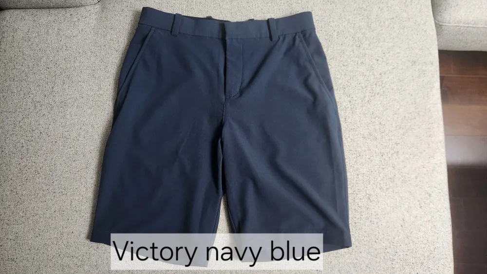 Nike Golf/Casual Shorts mens size 30 thumbnail