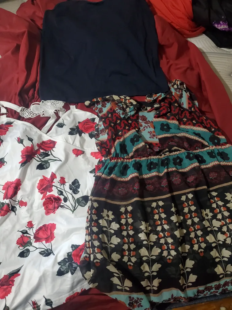 Assorted Women's Clothing image indicator(2)