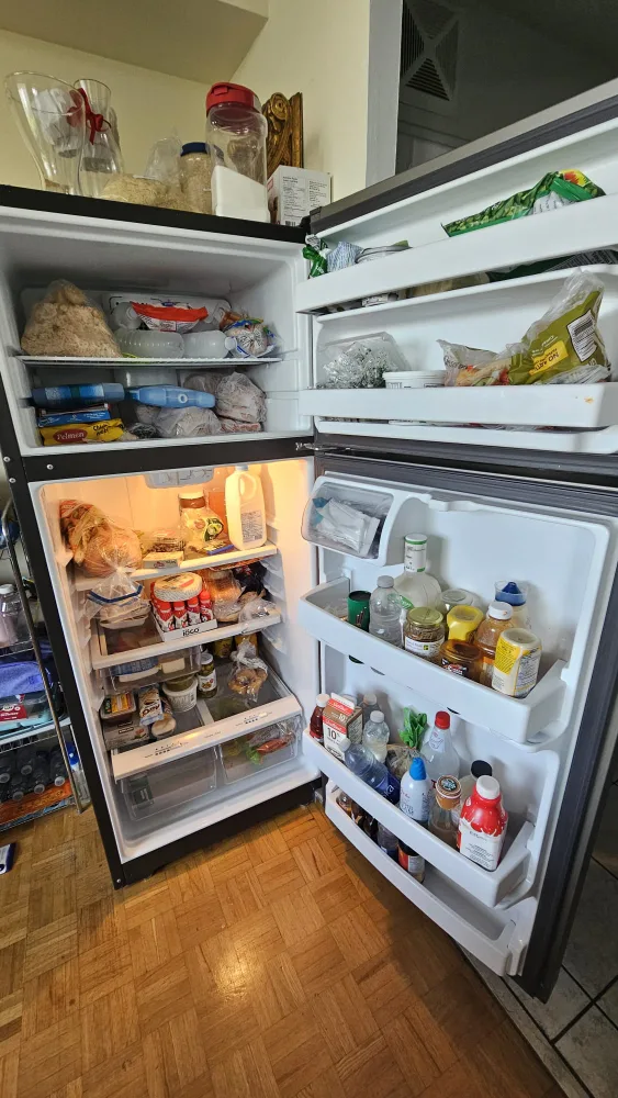 GE GTE18GMHMRES Refrigerator image indicator(3)