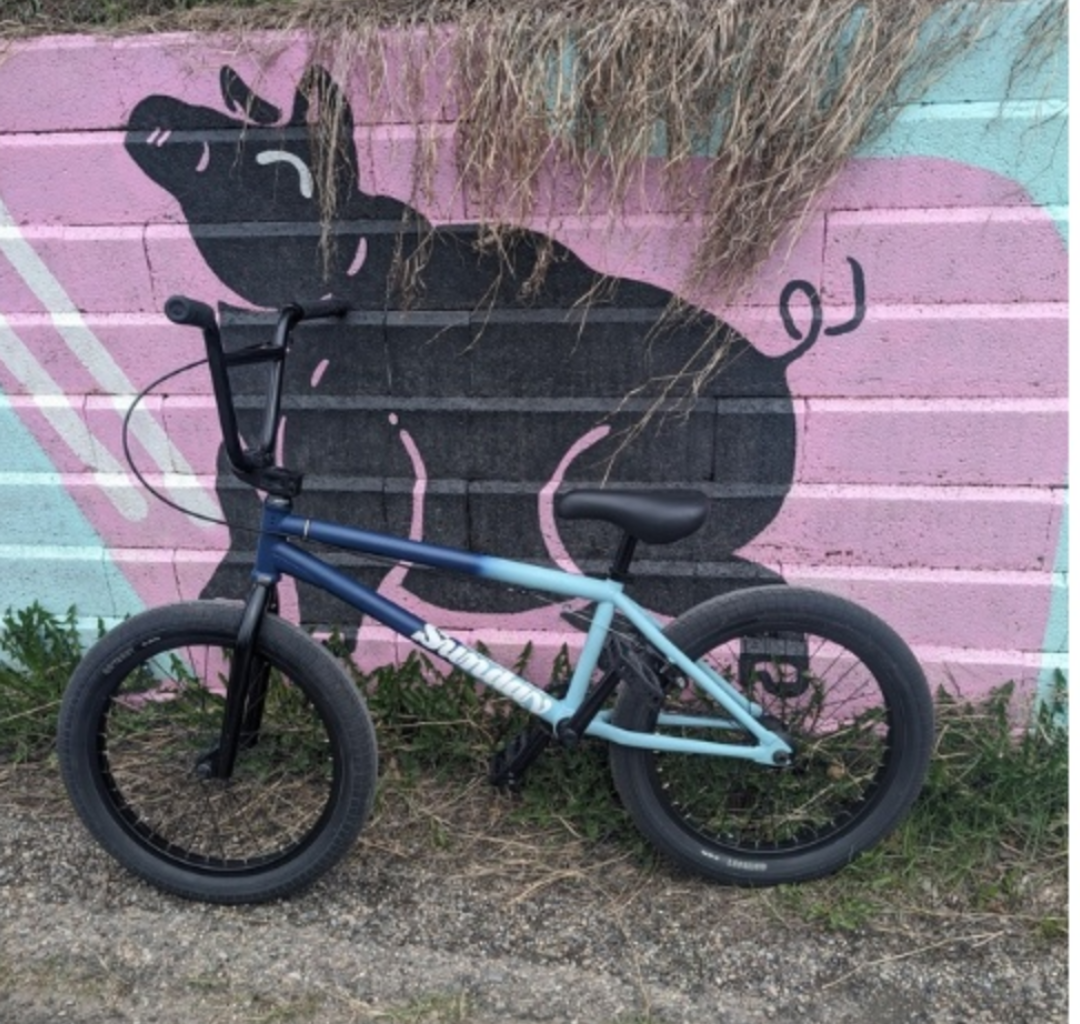 Sunday Forecaster BMX Bike - Blue and Light Blue
