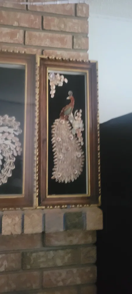 Vintage Peacock Shell Art Picture Frames (Set of 3) image indicator(4)