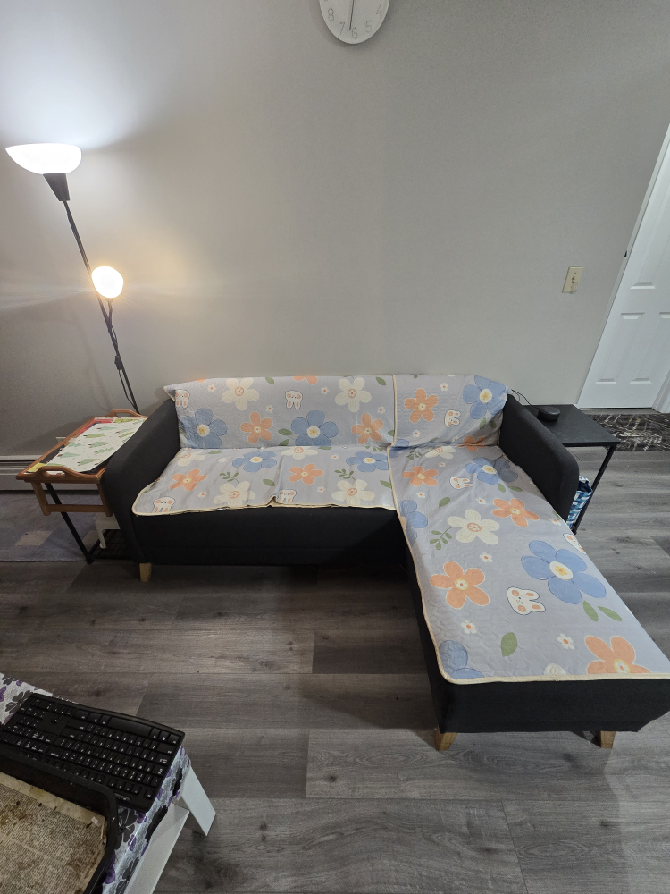 IKEA LINANÄS Dark Gray Sofa with Chaise - photo 2