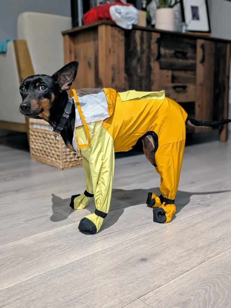 Dog Raincoat Yellow thumbnail