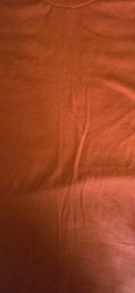 Orange Shirt Day! Gildan T-Shirt - Size Adult Large image indicator(4)