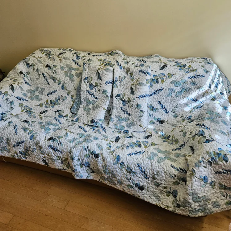 QE Home Floral Quilt coverlet set