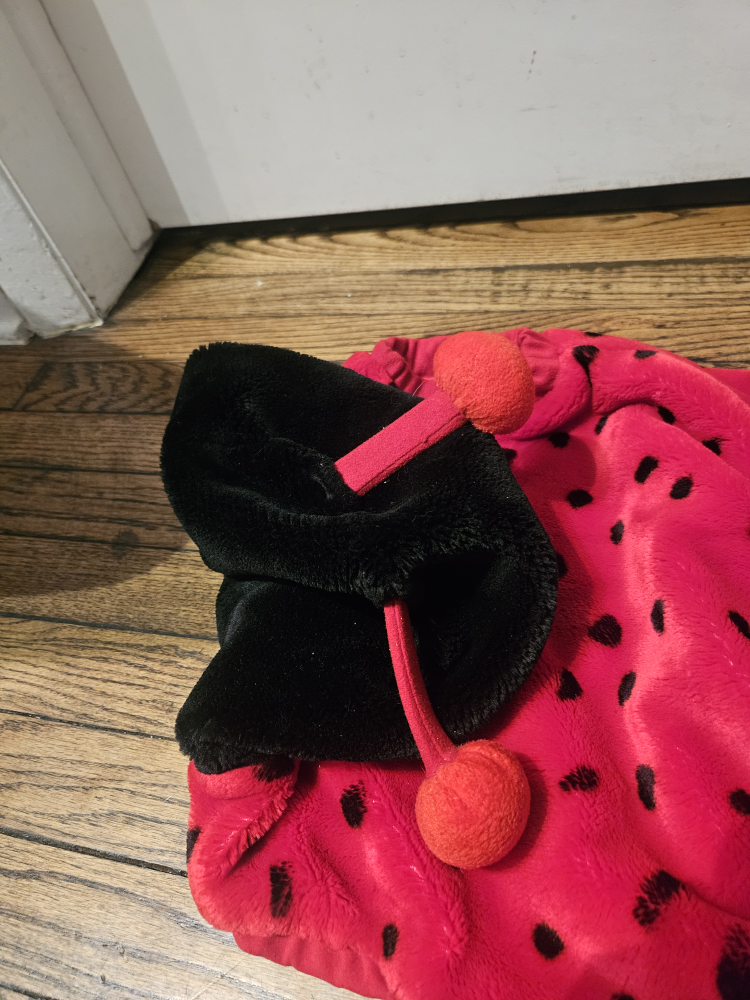 Ladybug Costume, Size 12-24 Months - photo 2