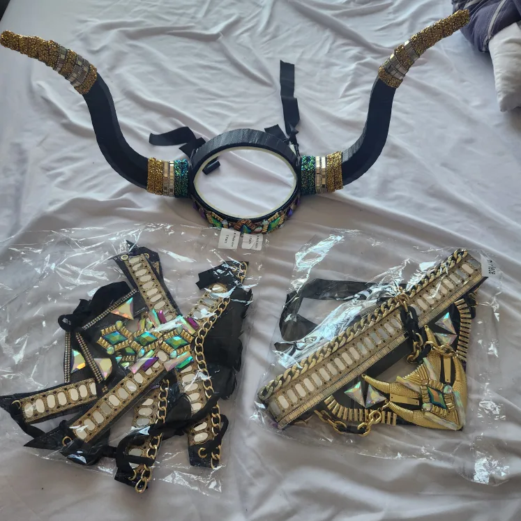 Brand New Male Carnival Costume image indicator(2)