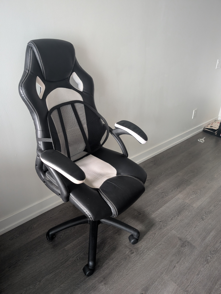 Black & White Gaming Chair