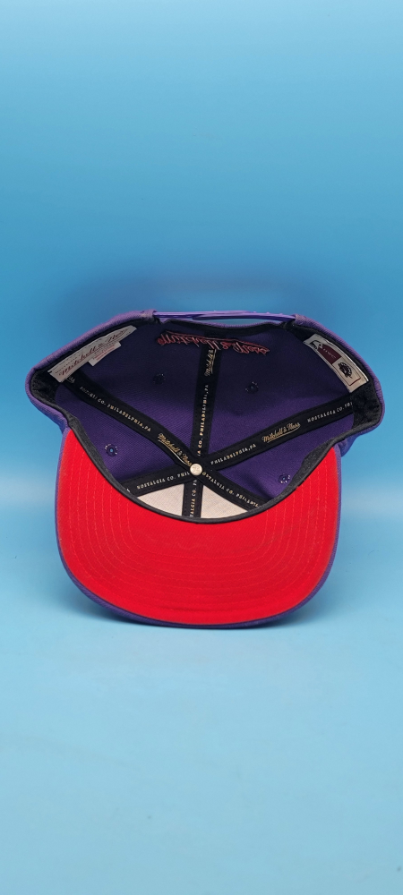 🥳VGC🤩 Mitchell & Ness Raptors Purple Hat - photo 5