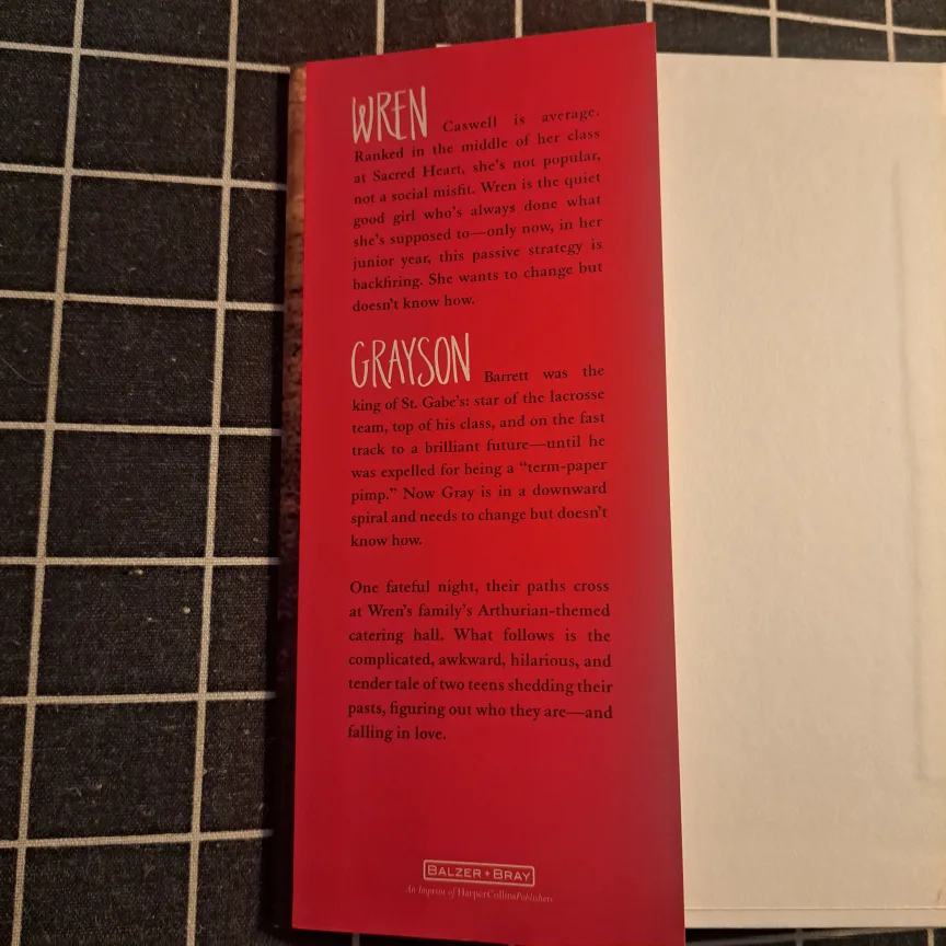 The Promise of Amazing by Robin Constantine image indicator(3)